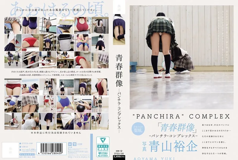 PFES100 - JAV