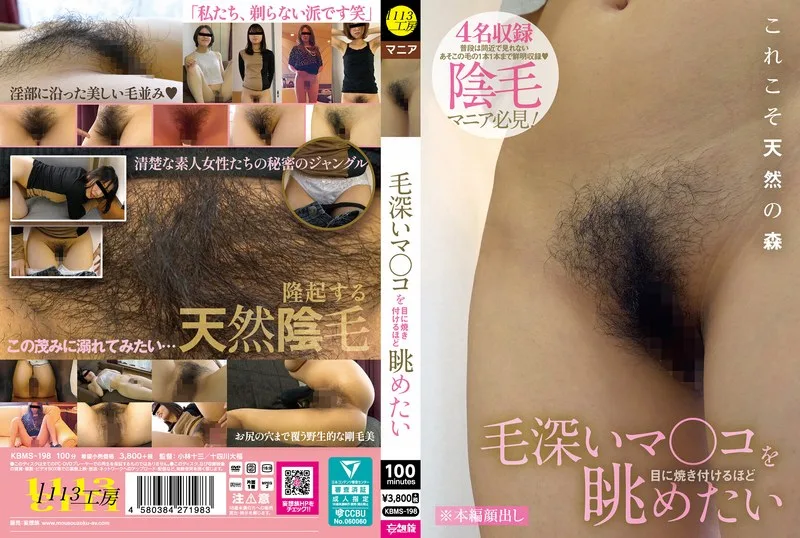 KBMS198 - JAV - 53342